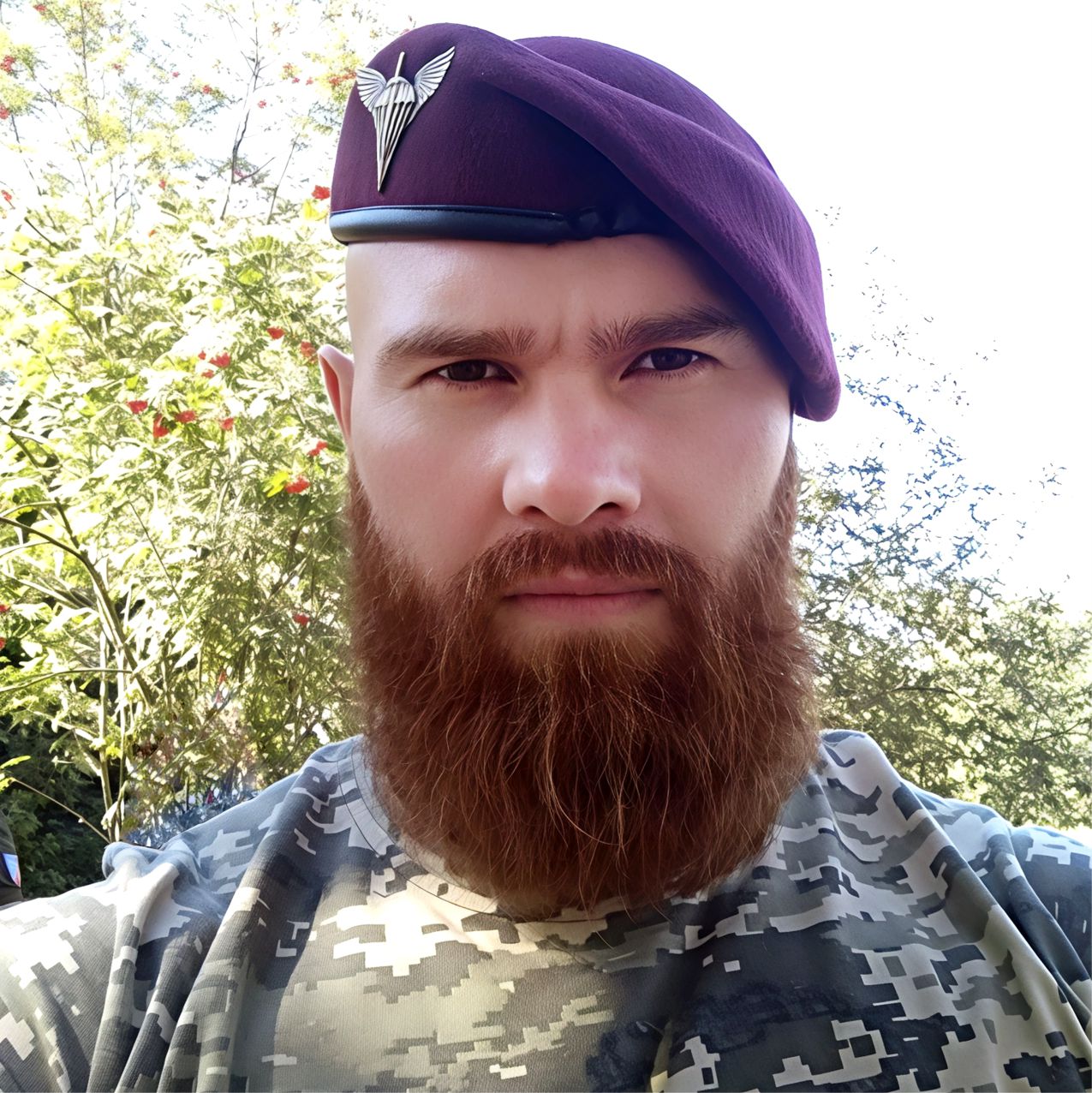 Дмітрієв Андрій Сергійович